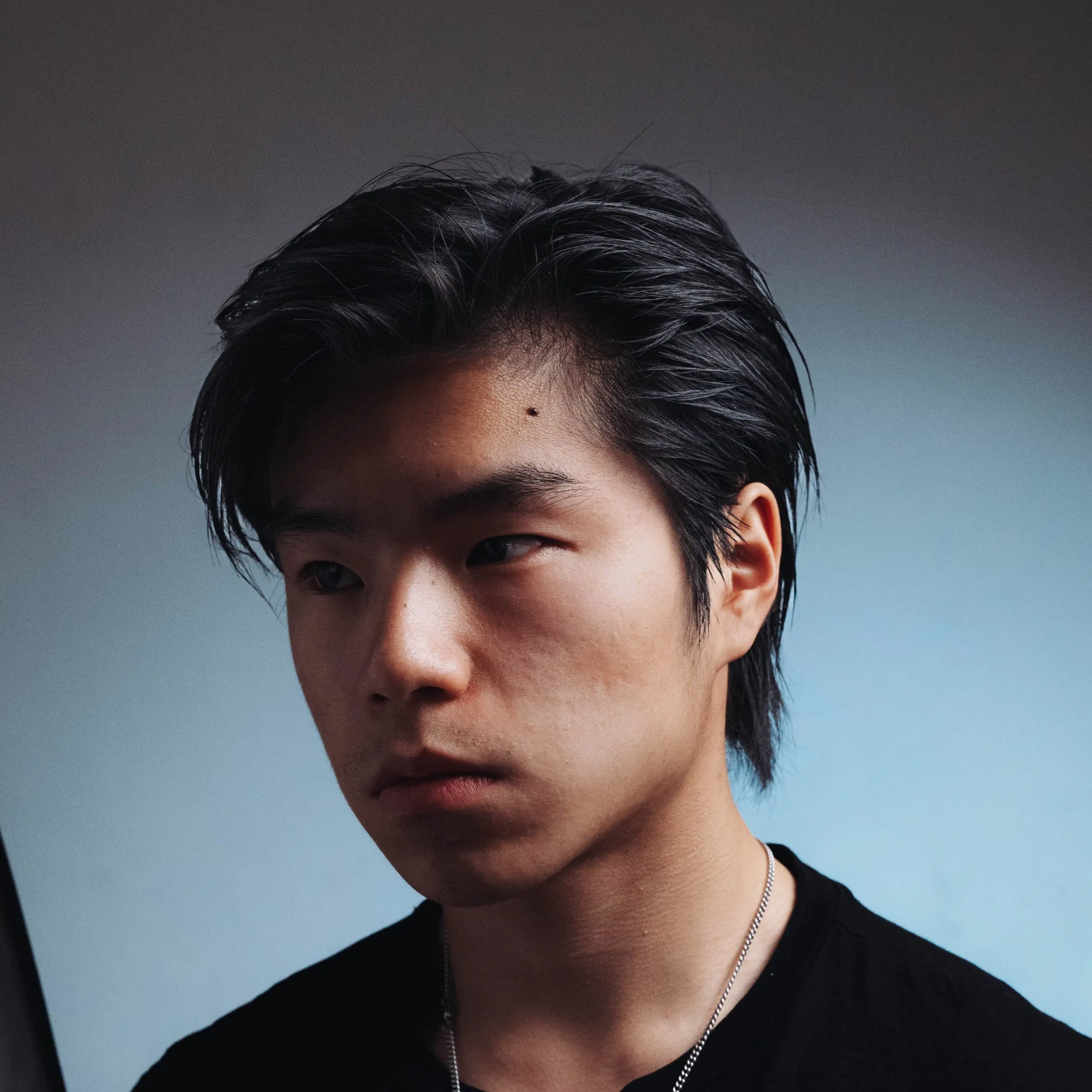 Frate — Gorilla, frame dal video musicale