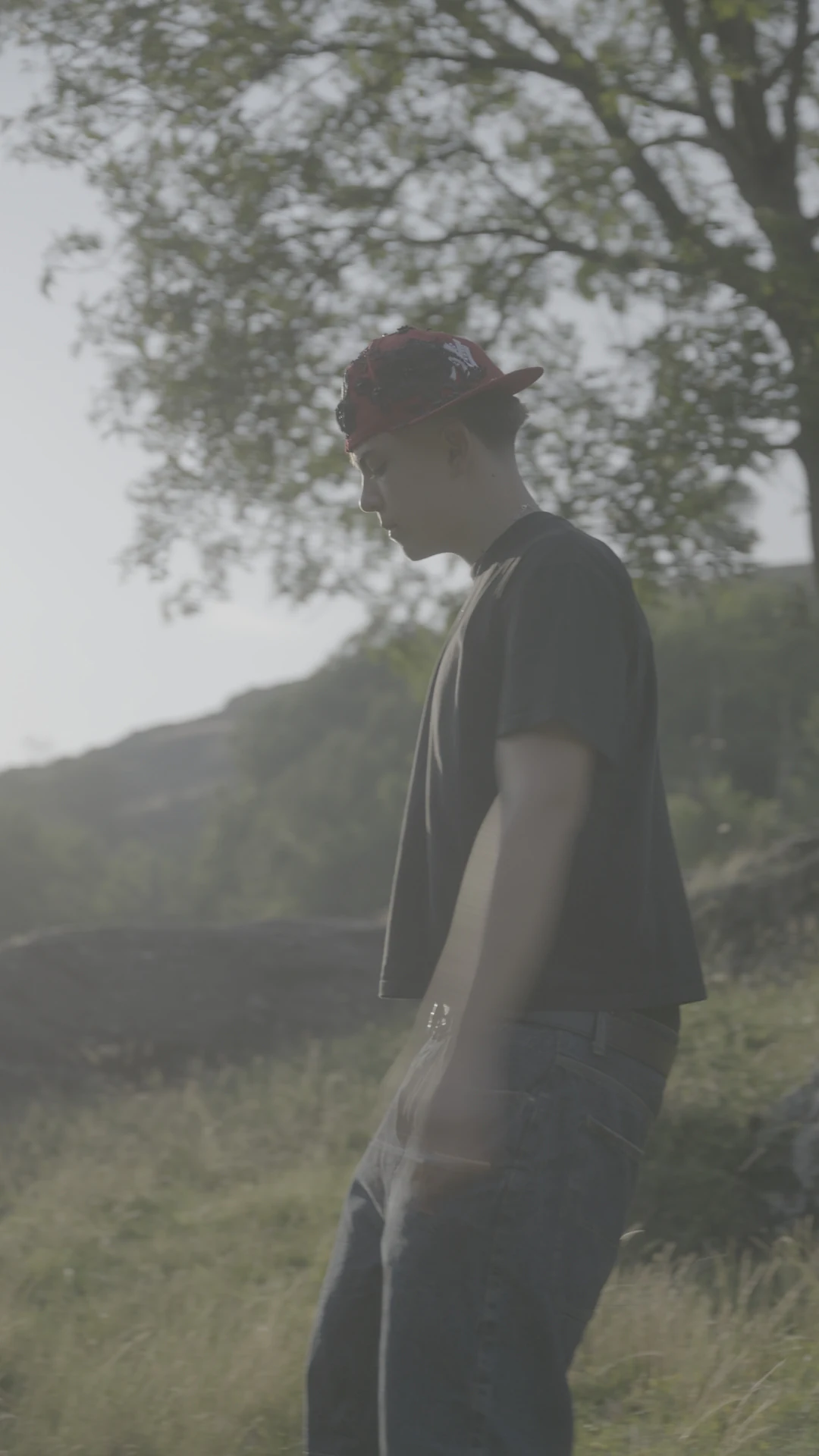 Frame in V-Log, immagine piatta non gradata